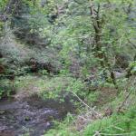 IMG_8243.JPG