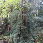 IMG_8245.JPG