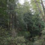 IMG_8246.JPG