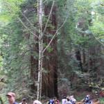 IMG_8257.JPG