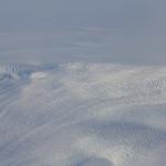 IMG_7907.JPG