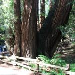 IMG_8276.JPG