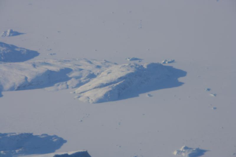 IMG_7919.JPG
