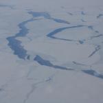 IMG_7924.JPG