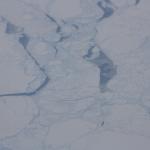 IMG_7927.JPG