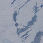 IMG_7928.JPG
