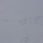 IMG_7930.JPG
