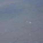 IMG_7931.JPG
