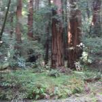 IMG_8284.JPG