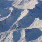 IMG_7954.JPG
