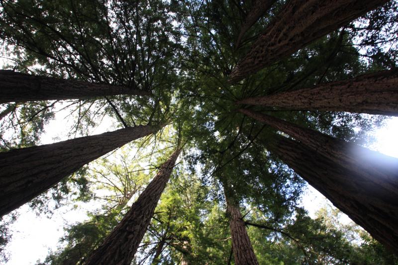 IMG_8323.JPG