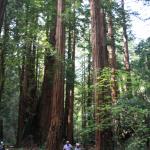 IMG_8326.JPG