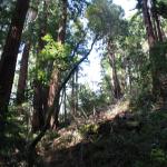 IMG_8344.JPG