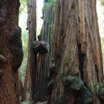 IMG_8354.JPG