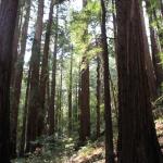 IMG_8386.JPG