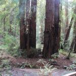 IMG_8389.JPG