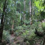 IMG_8412.JPG