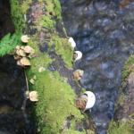 IMG_8438.JPG