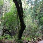 IMG_8445.JPG