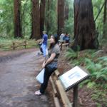 IMG_8466.JPG