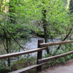 IMG_8476.JPG