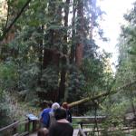 IMG_8479.JPG