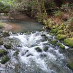 IMG_8484.JPG