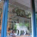 IMG_8494.JPG
