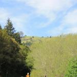 IMG_8227.JPG