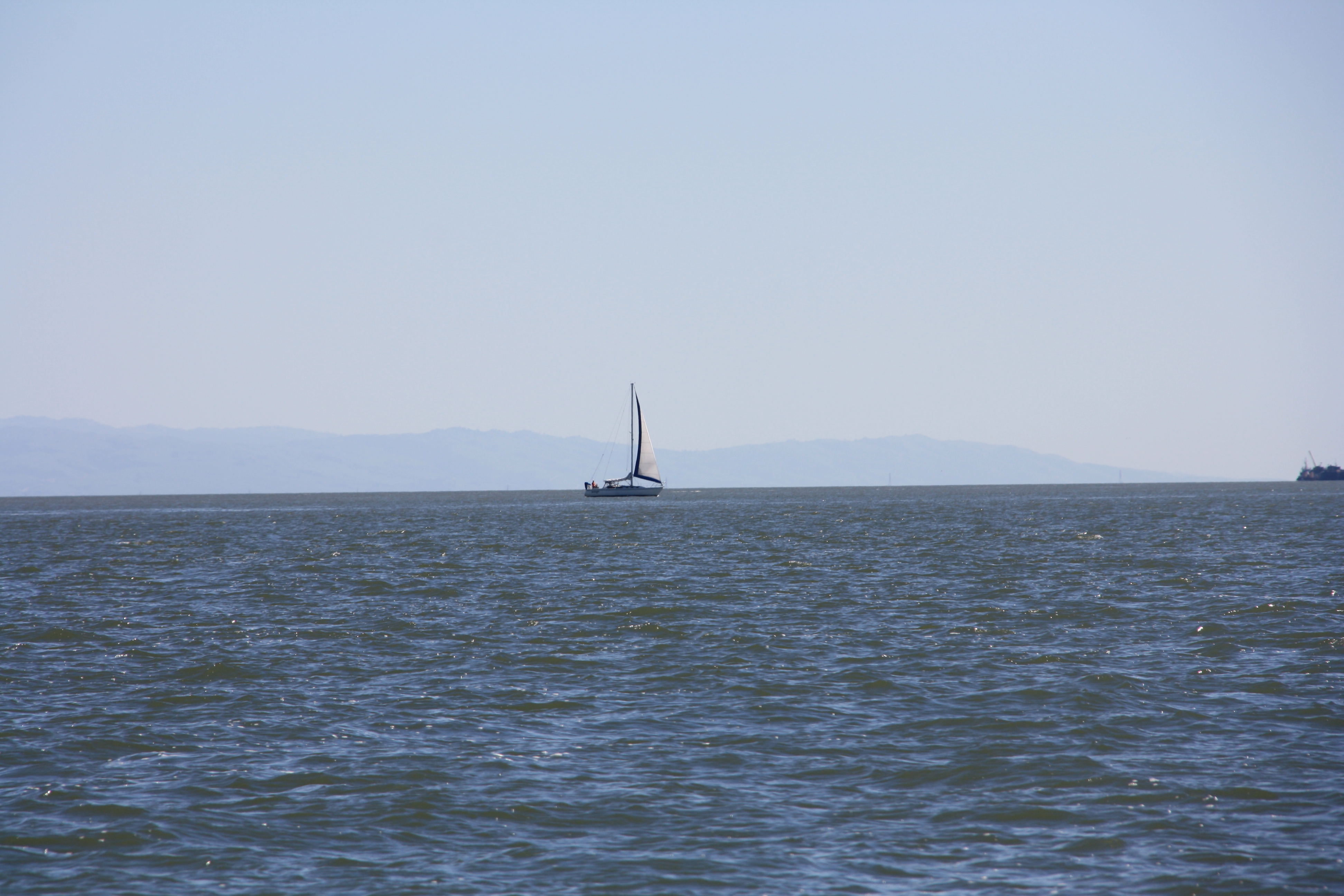 IMG_8700.JPG
