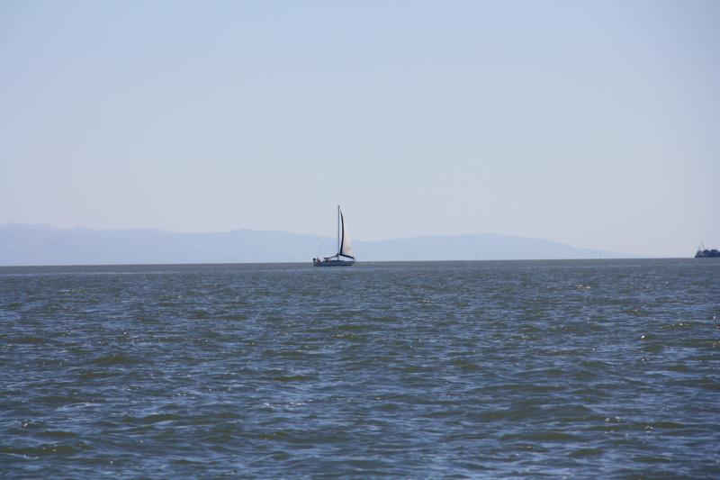 IMG_8700.JPG