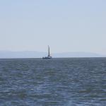 IMG_8700.JPG