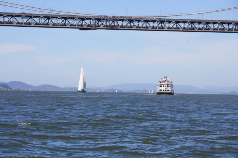 IMG_8703.JPG