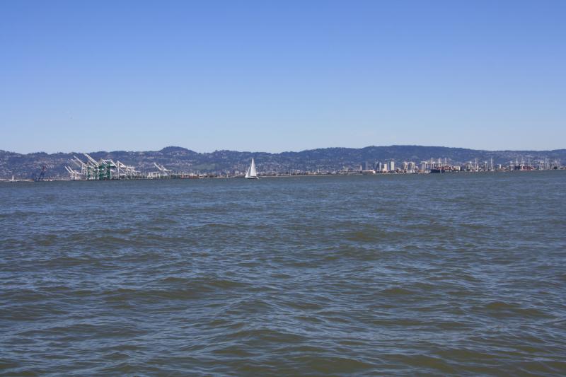 IMG_8723.JPG