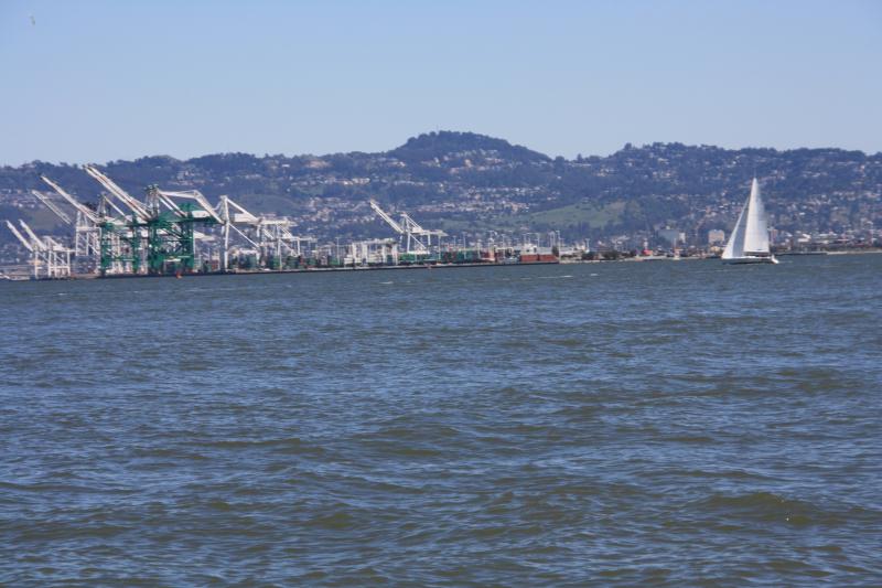IMG_8724.JPG