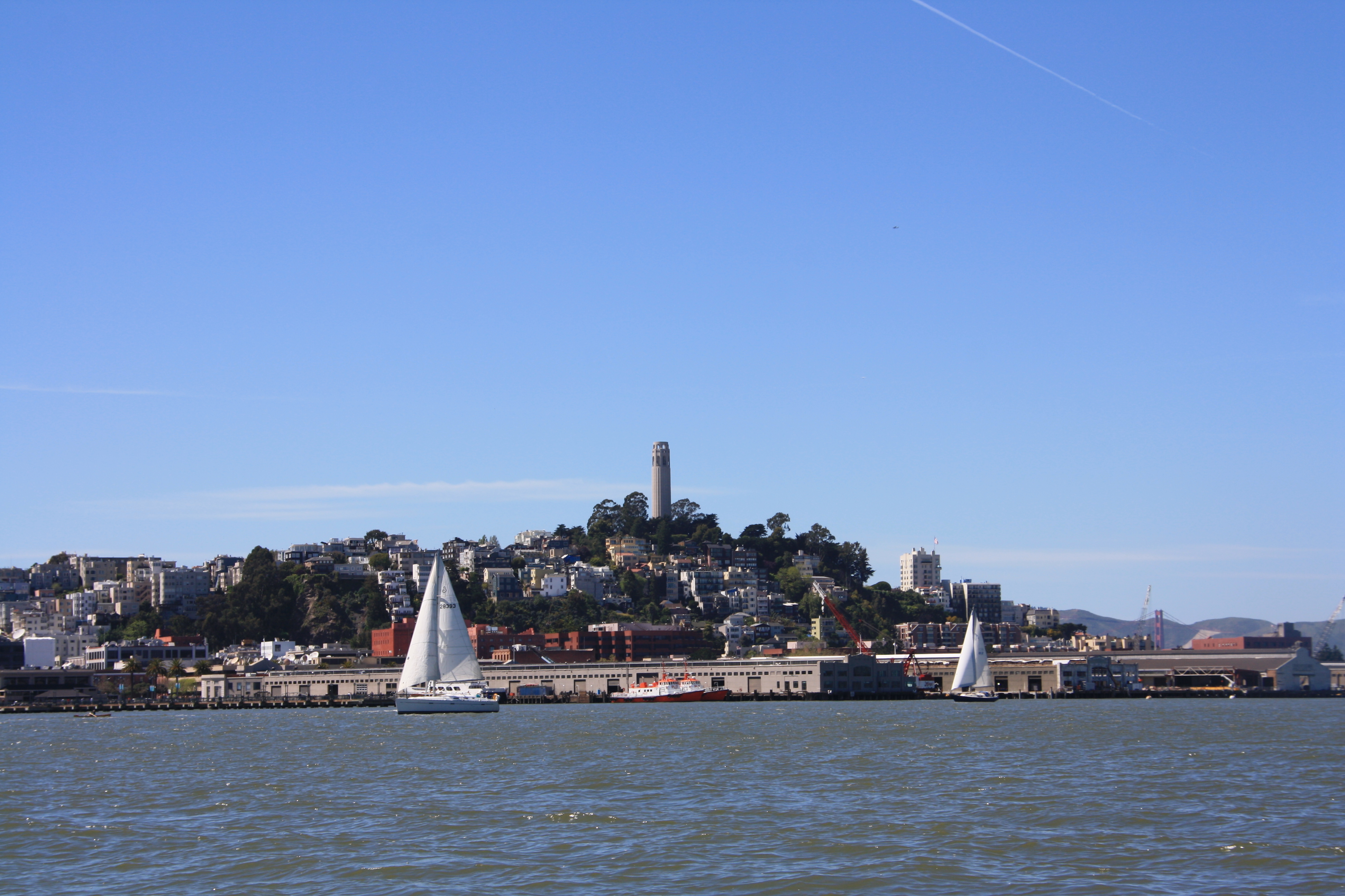 IMG_8735.JPG