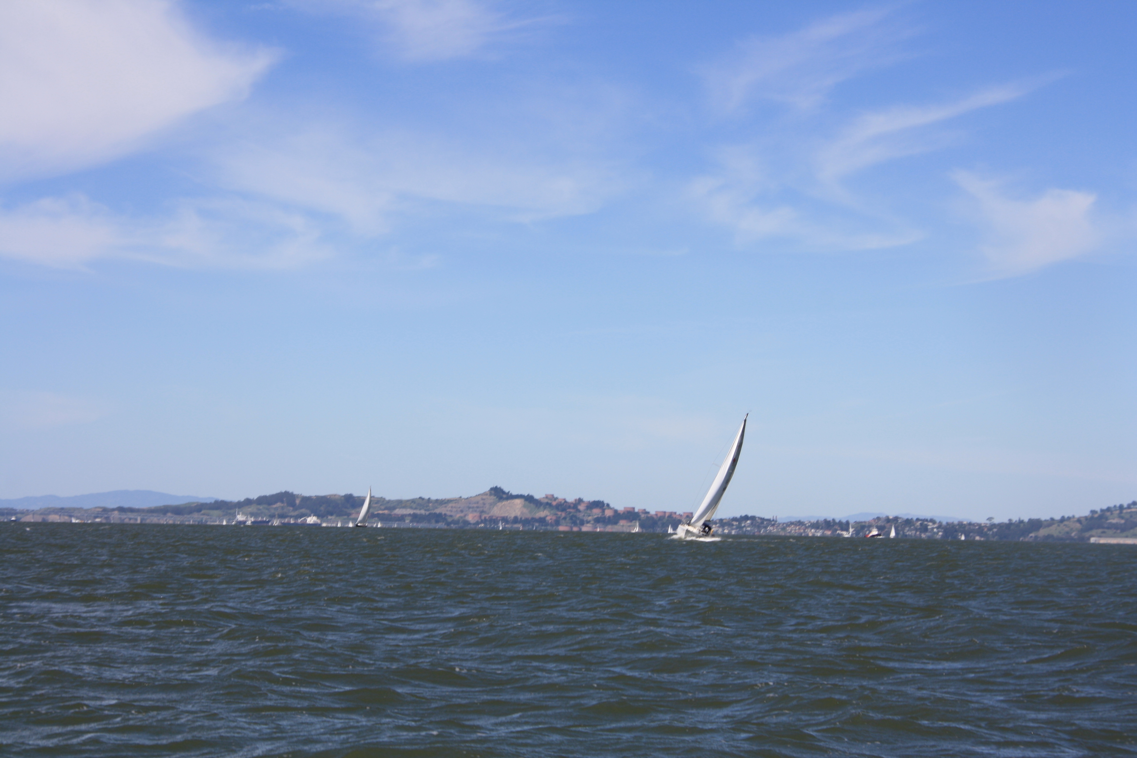 IMG_8746.JPG