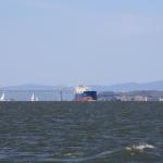IMG_8747.JPG