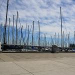 IMG_8680.JPG