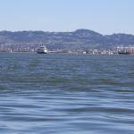 IMG_8687.JPG