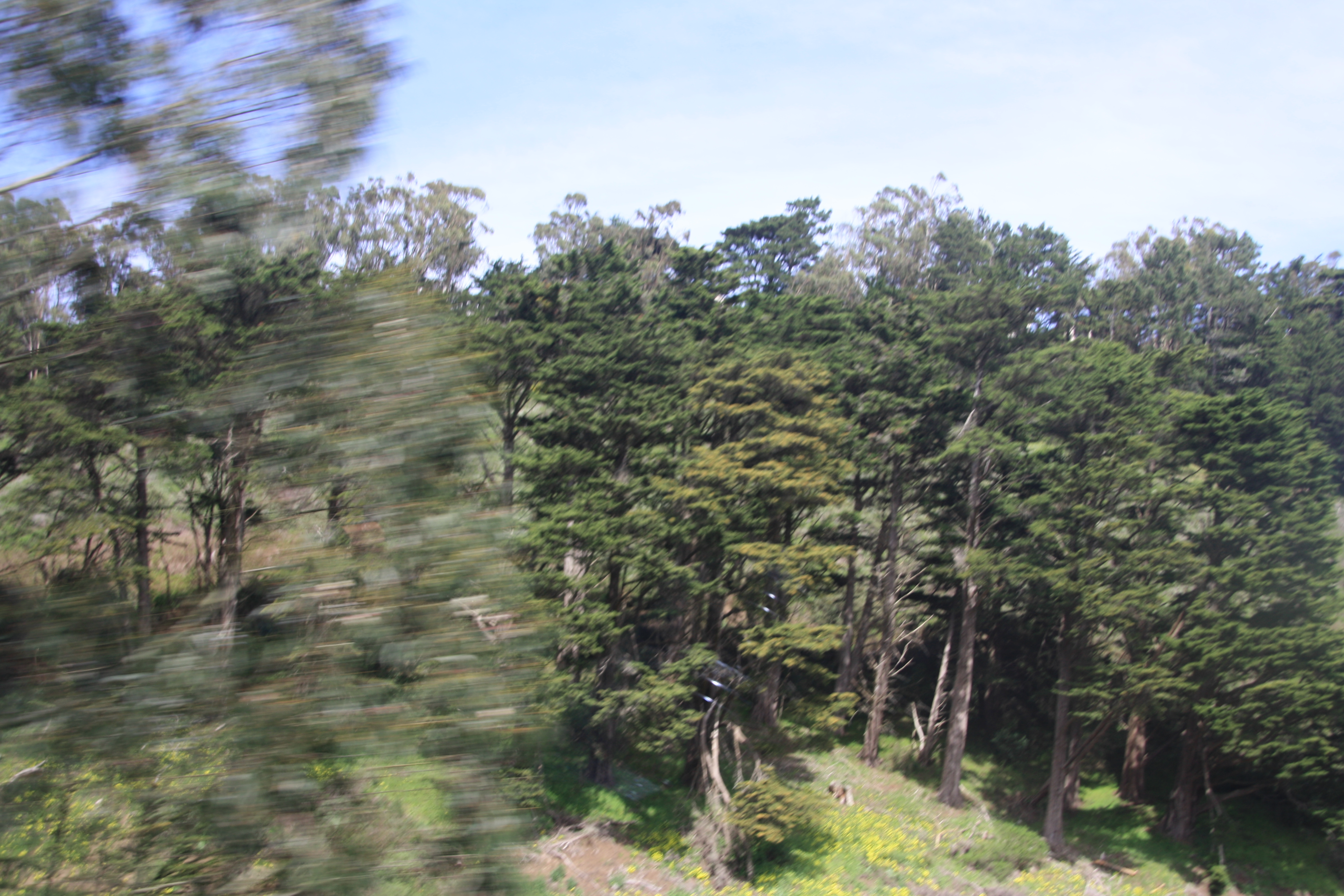 IMG_8129.JPG