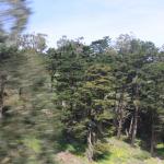IMG_8129.JPG