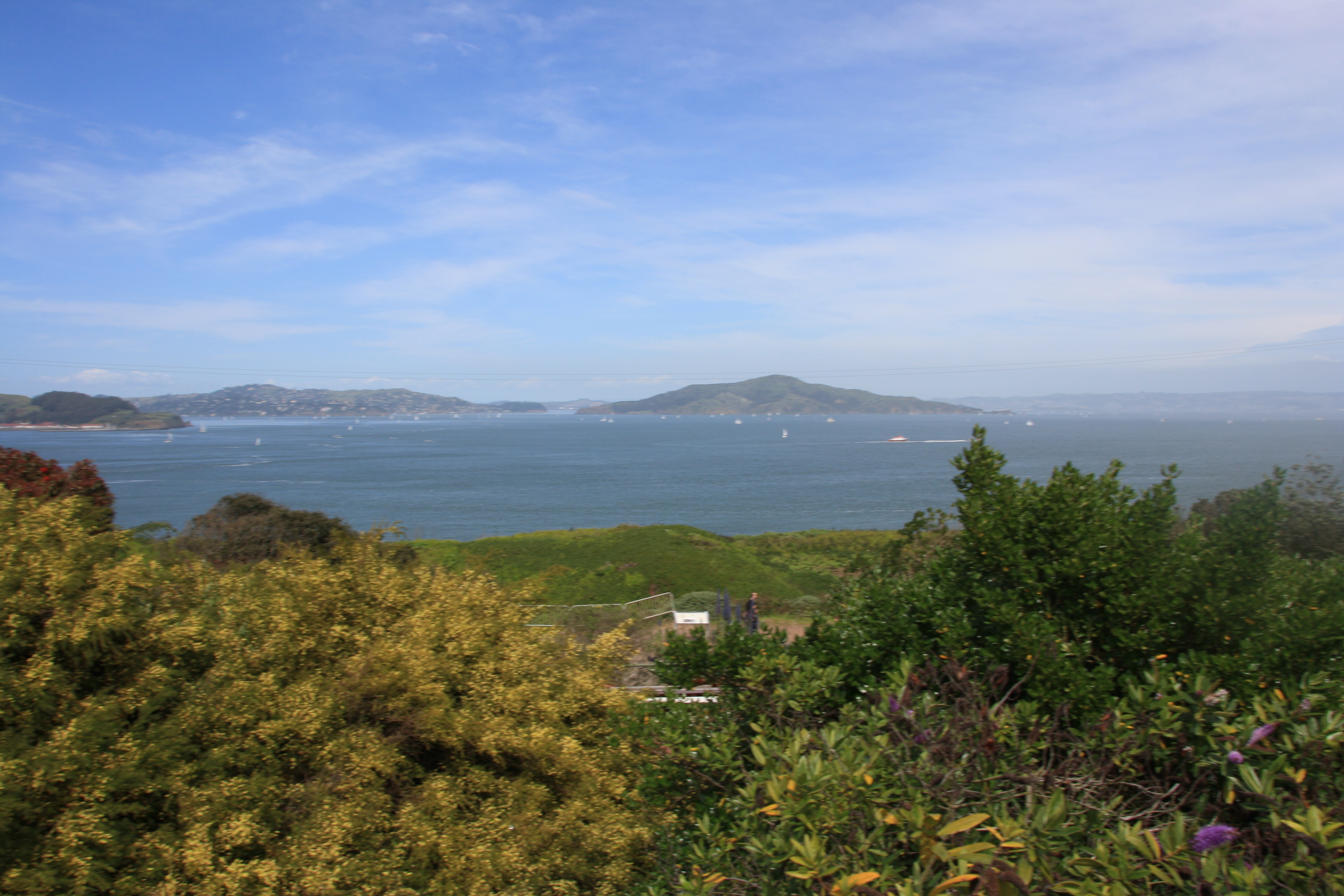 IMG_8145.JPG