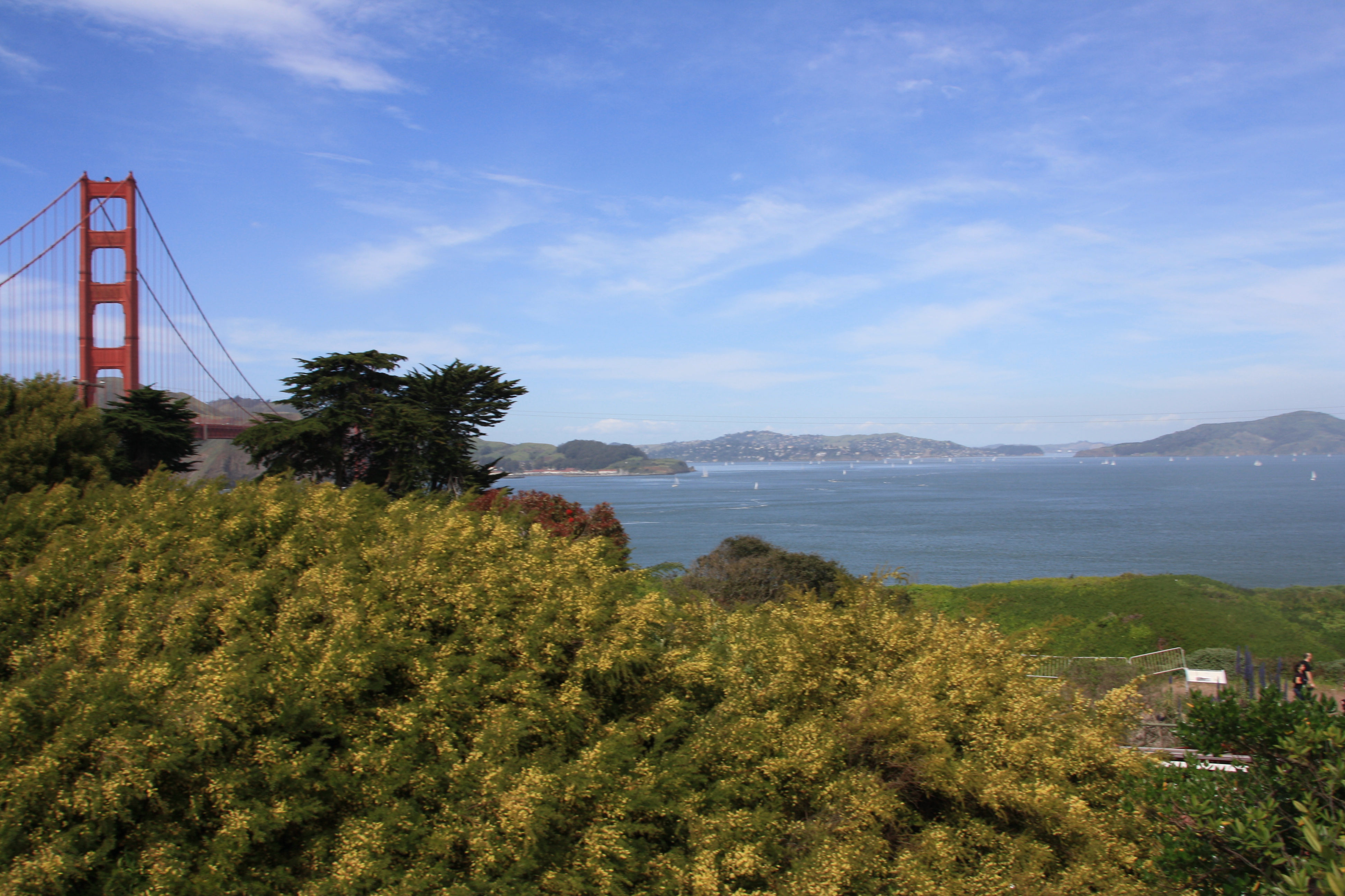 IMG_8147.JPG