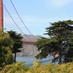 IMG_8151.JPG