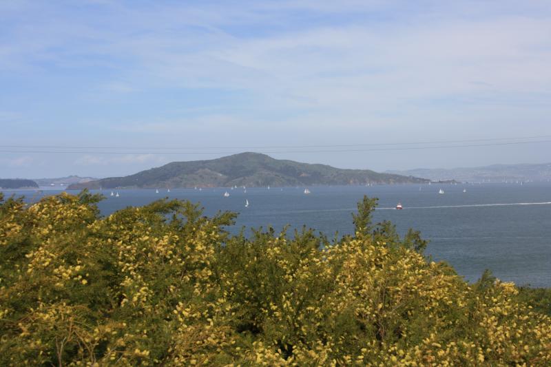IMG_8155.JPG