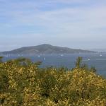 IMG_8155.JPG