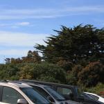 IMG_8157.JPG