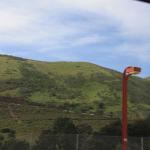 IMG_8180.JPG