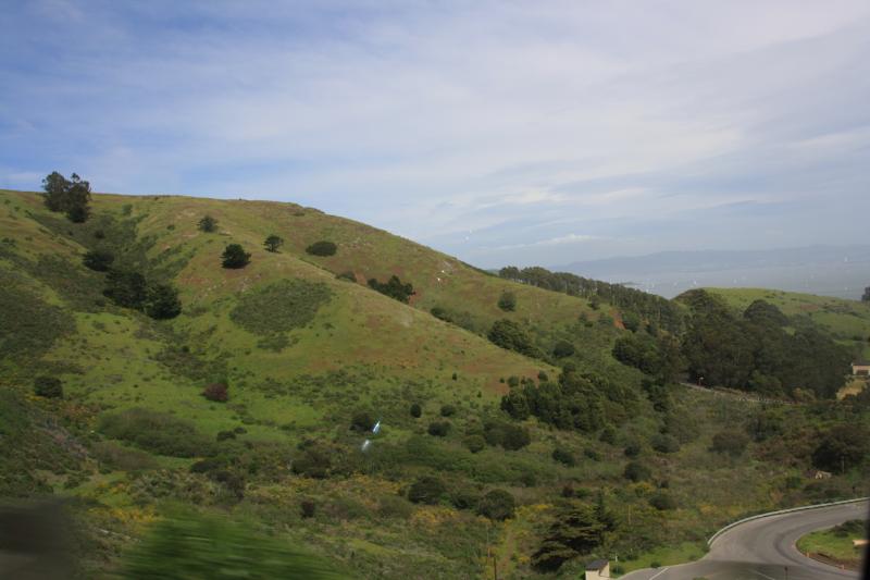 IMG_8183.JPG